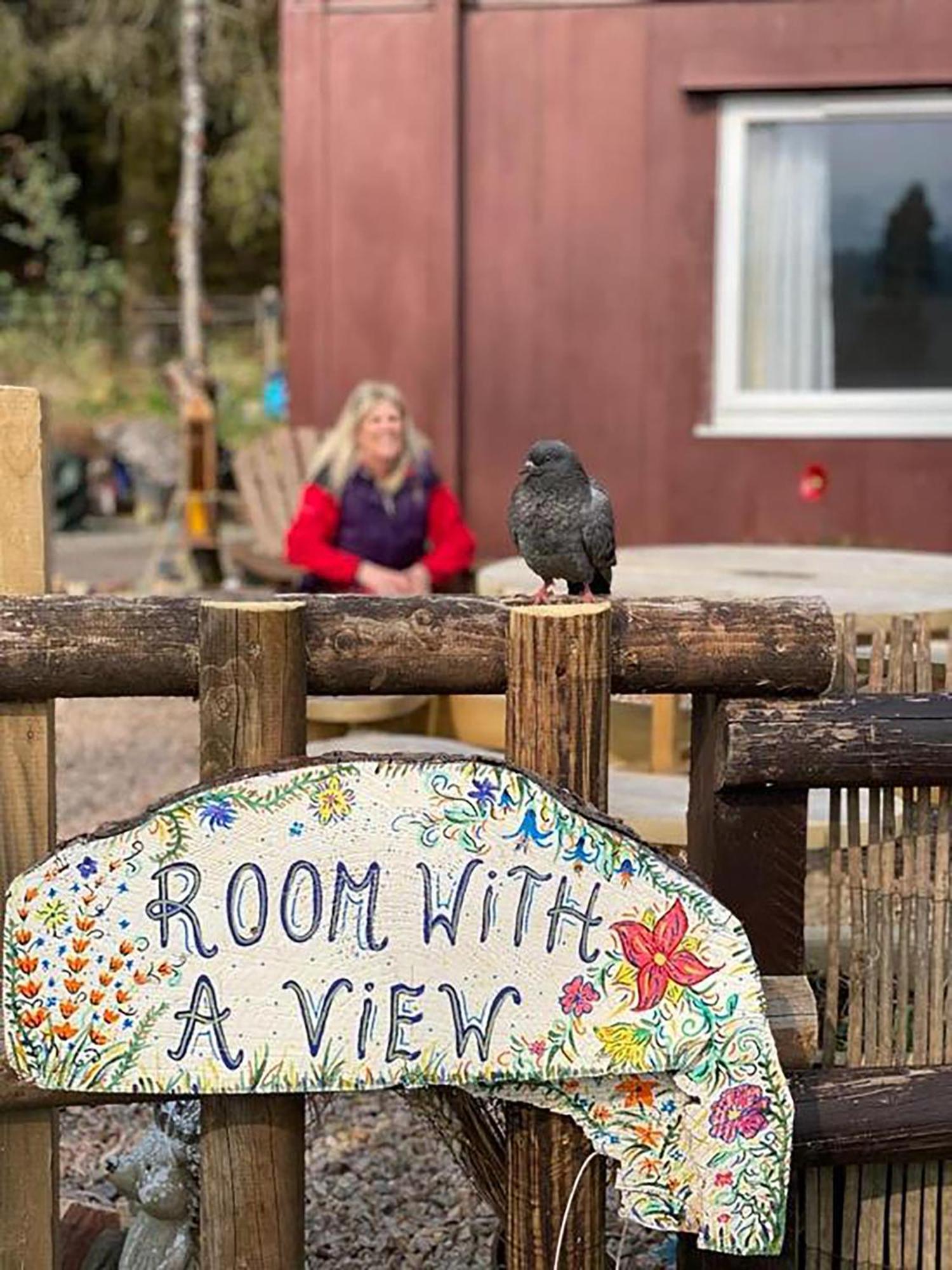 Room With A View スピーン・ブリッジ エクステリア 写真
